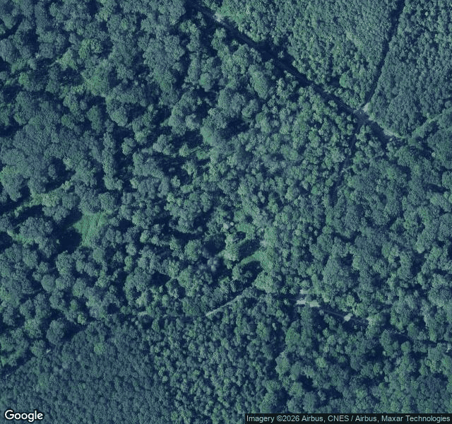 Pavillon Arènes — lieu abandonné à 